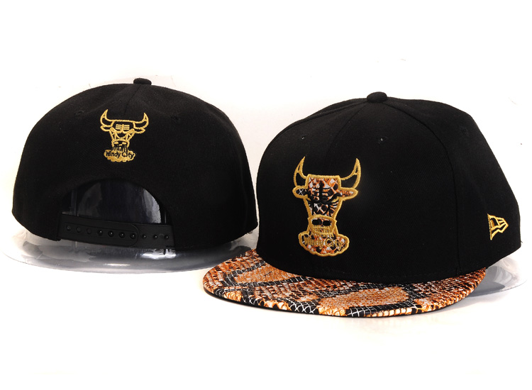 NBA Chicago Bulls NE Snapback Hat #258